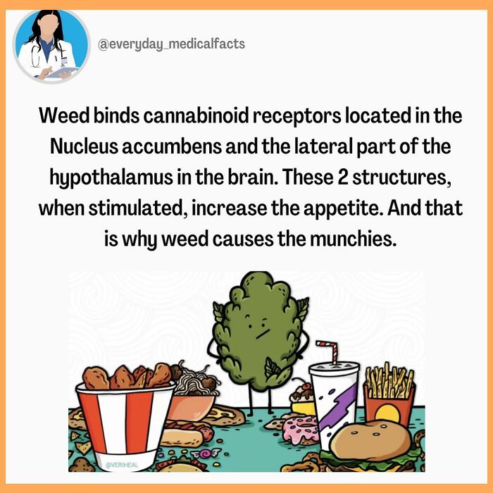 71 Mind-Blowing Body Facts You Didn’t Know You Needed