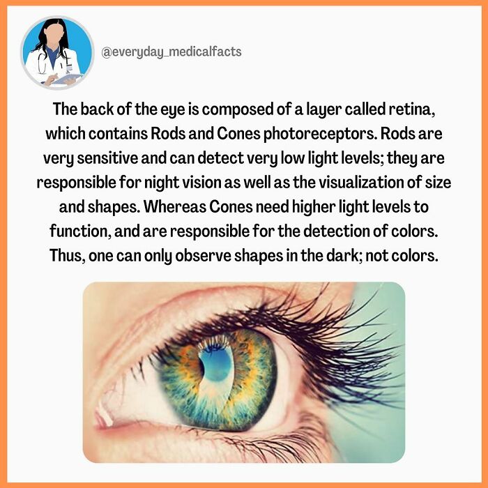 71 Mind-Blowing Body Facts You Didn’t Know You Needed