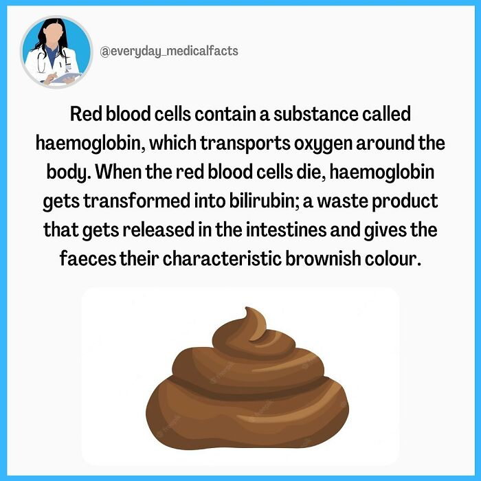71 Mind-Blowing Body Facts You Didn’t Know You Needed
