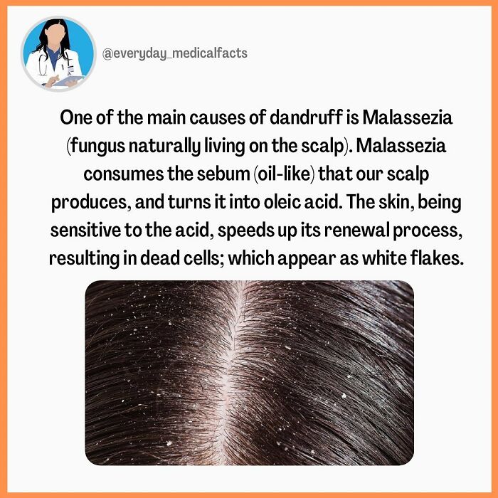 71 Mind-Blowing Body Facts You Didn’t Know You Needed