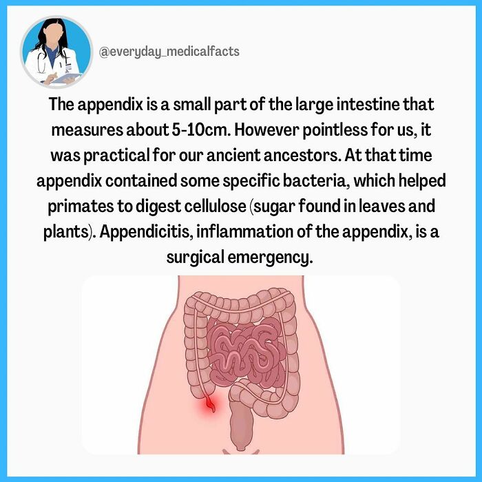 71 Mind-Blowing Body Facts You Didn’t Know You Needed
