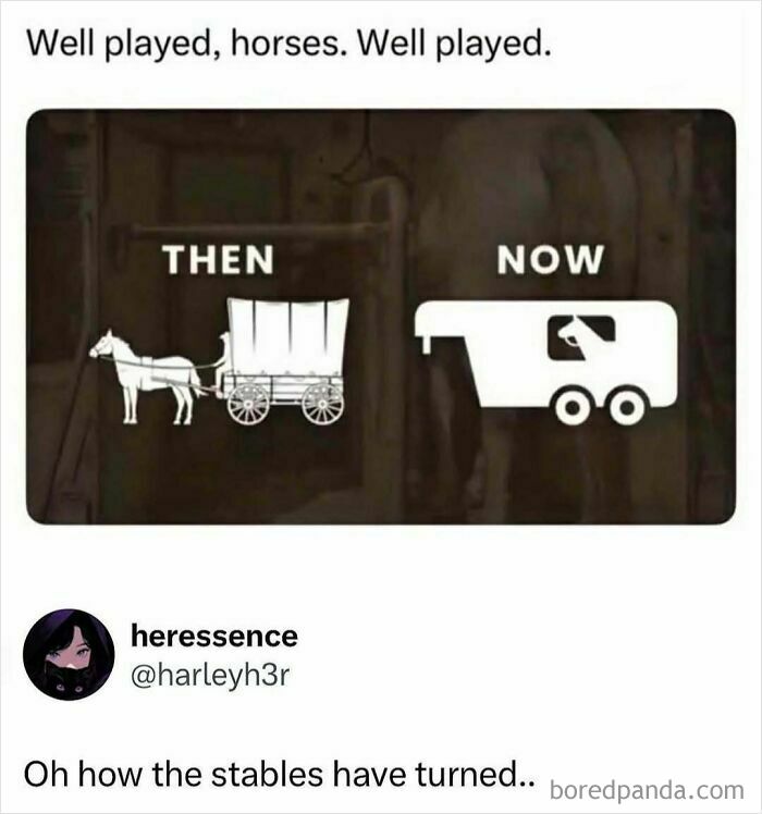 Let's Dive Into Some Random Memes That Will Make Your Day Way Better