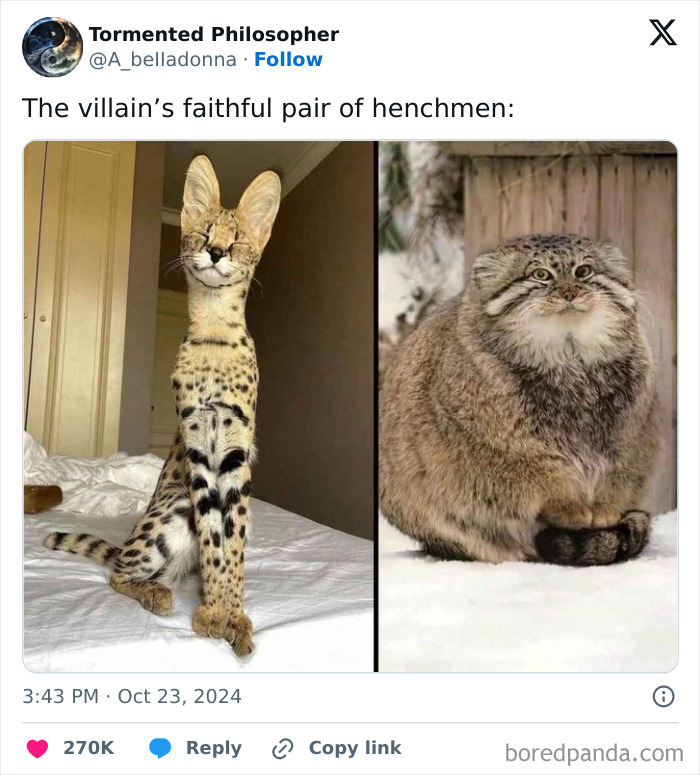 Let's Dive Into Some Random Memes That Will Make Your Day Way Better