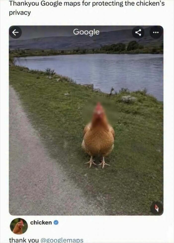 Let's Dive Into Some Random Memes That Will Make Your Day Way Better