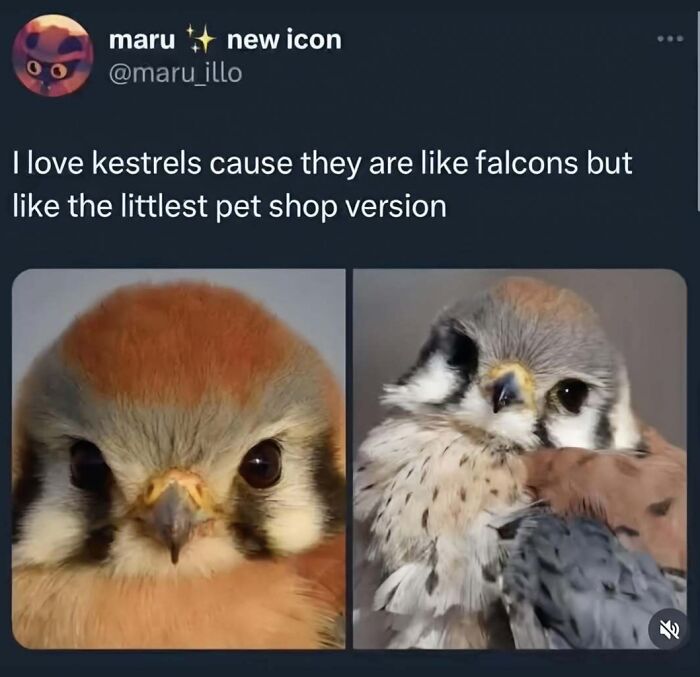 Let's Dive Into Some Random Memes That Will Make Your Day Way Better