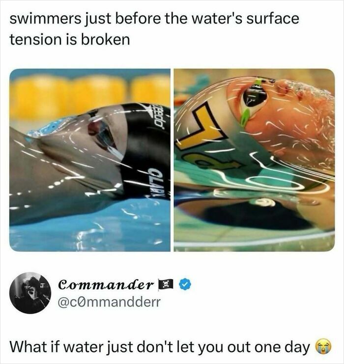 Let's Dive Into Some Random Memes That Will Make Your Day Way Better