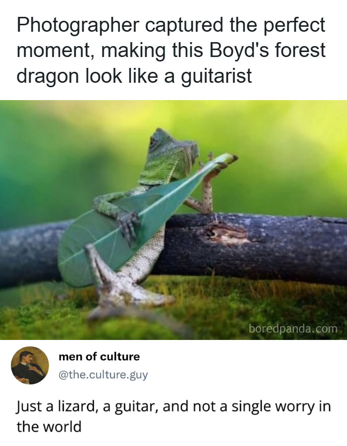 Let's Dive Into Some Random Memes That Will Make Your Day Way Better