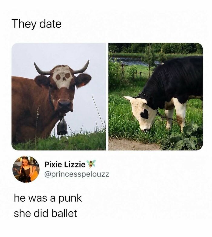 Let's Dive Into Some Random Memes That Will Make Your Day Way Better
