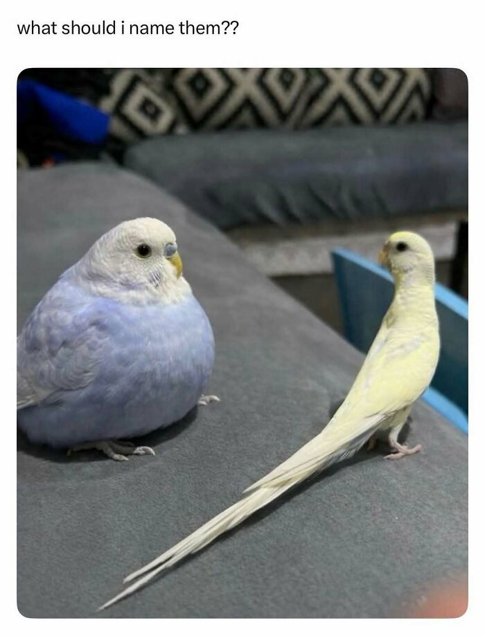 Let's Dive Into Some Random Memes That Will Make Your Day Way Better