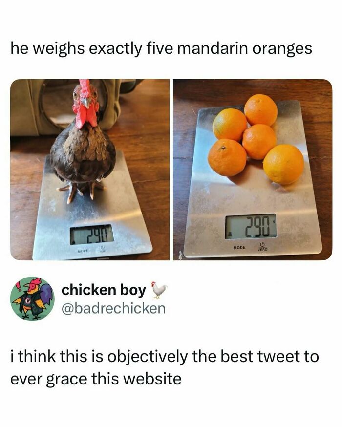 Let's Dive Into Some Random Memes That Will Make Your Day Way Better