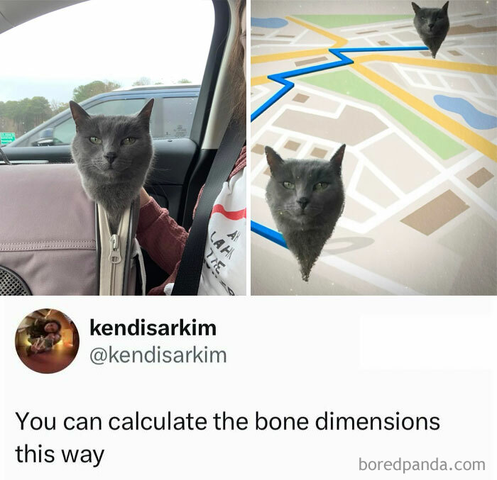 Let's Dive Into Some Random Memes That Will Make Your Day Way Better