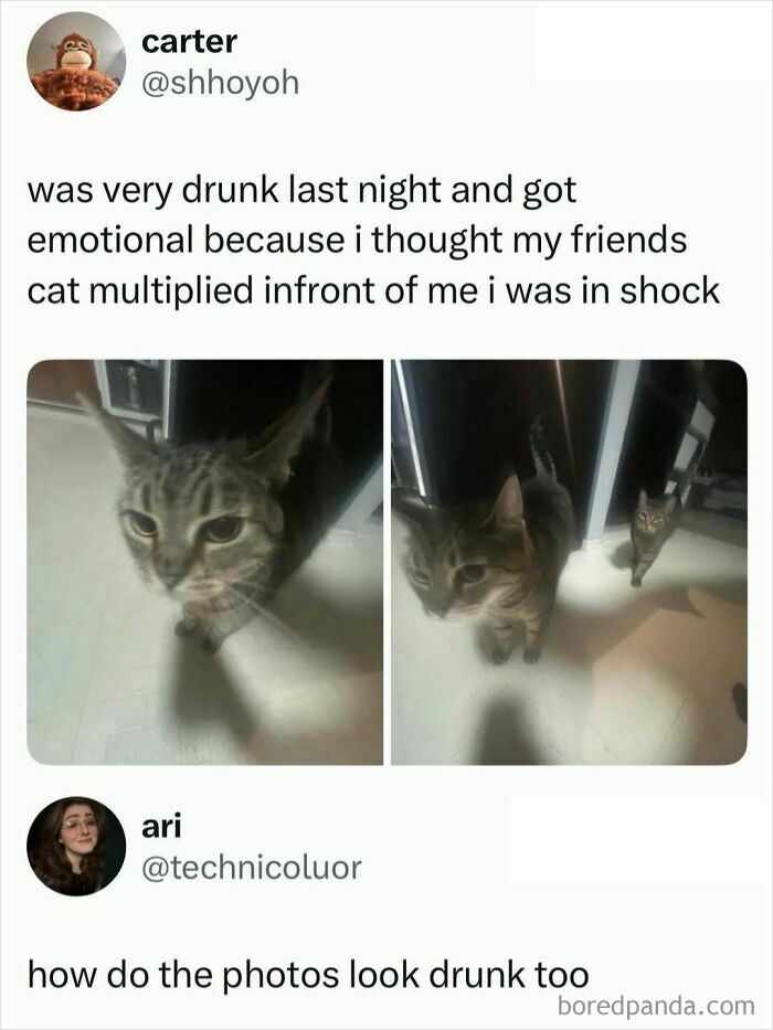 Let's Dive Into Some Random Memes That Will Make Your Day Way Better