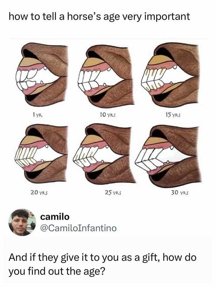 Let's Dive Into Some Random Memes That Will Make Your Day Way Better