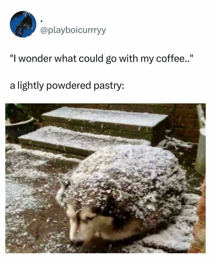 Let's Dive Into Some Random Memes That Will Make Your Day Way Better