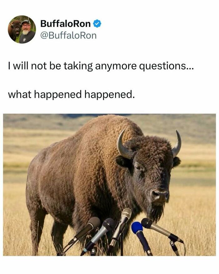 Let's Dive Into Some Random Memes That Will Make Your Day Way Better