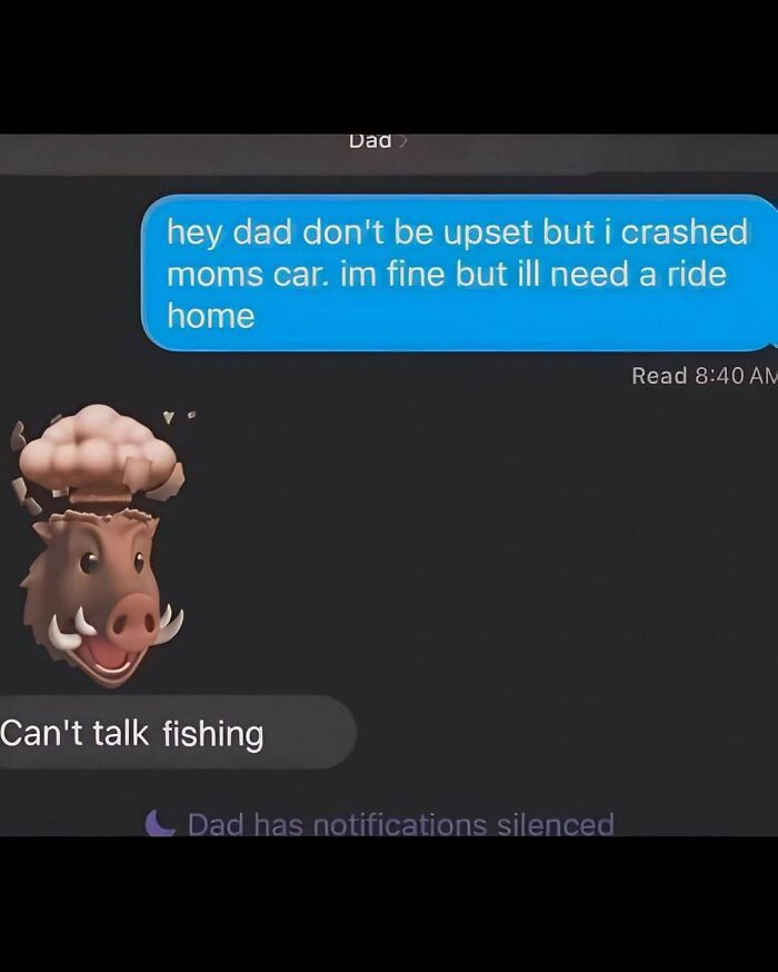 Let's Dive Into Some Random Memes That Will Make Your Day Way Better
