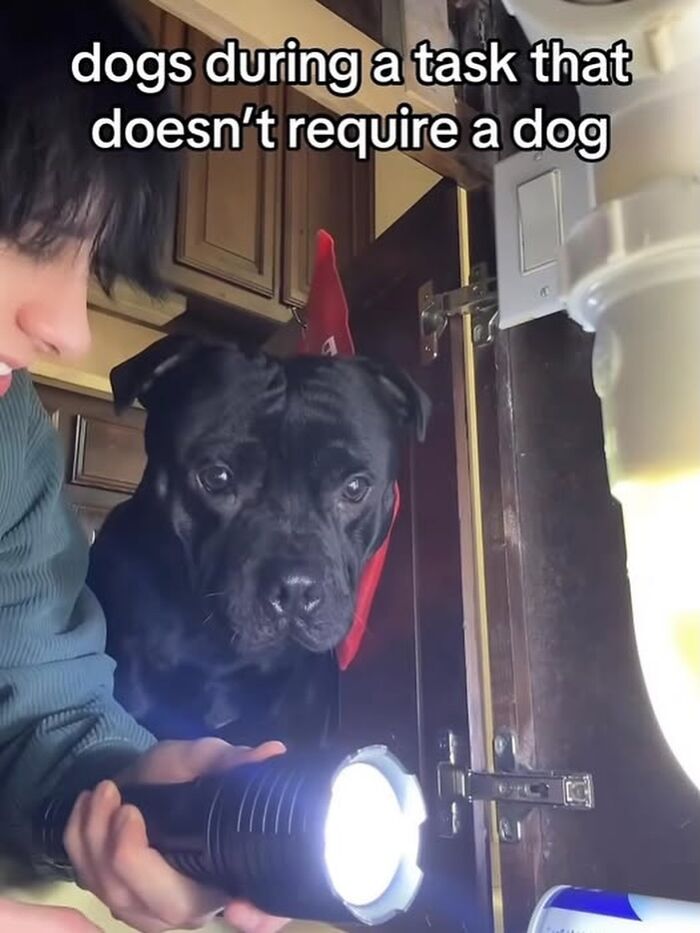 Wait, People Actually Saved These Hilariously Dumb Screenshots?