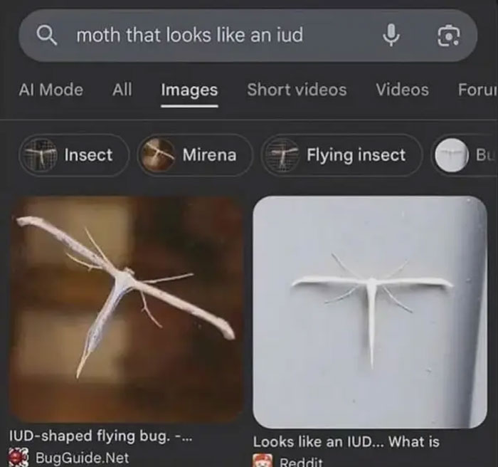 Wait, People Actually Saved These Hilariously Dumb Screenshots?