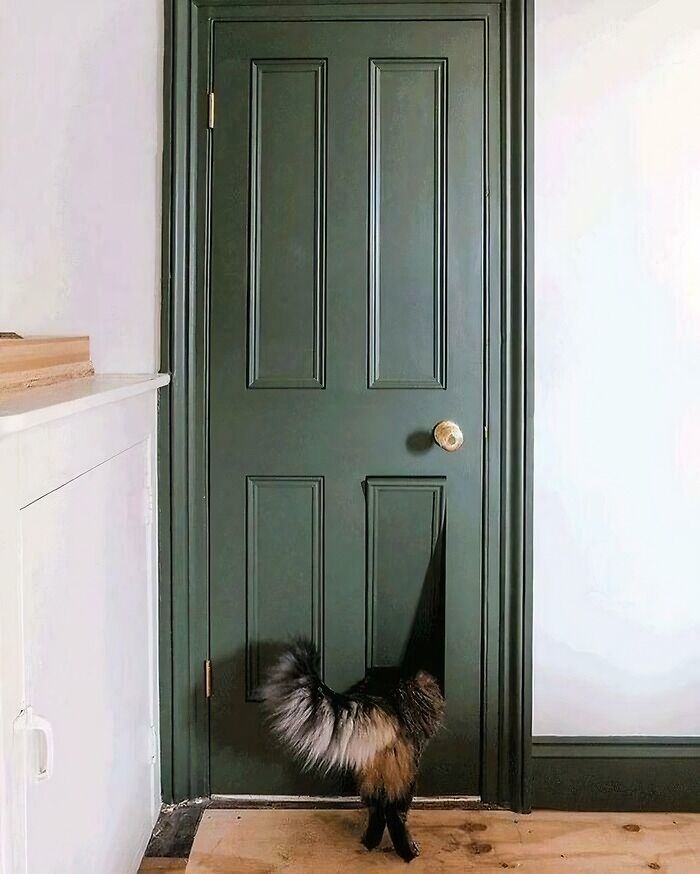 Way Better Than Poking a Hole in Your Door