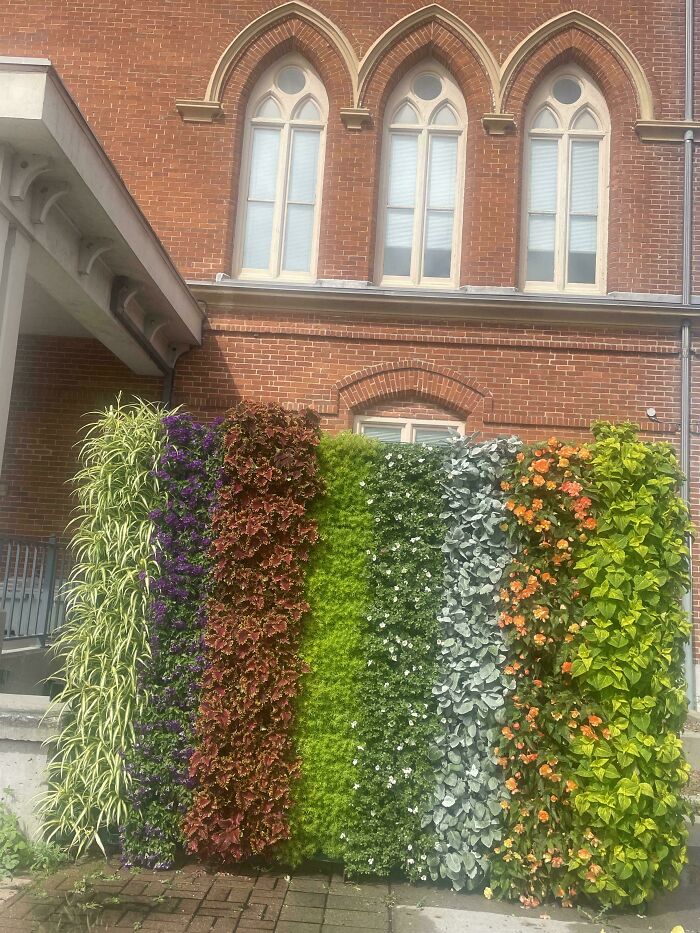 Turning Ugly Air Conditioners Into Plant Wall Art (Canada Style)