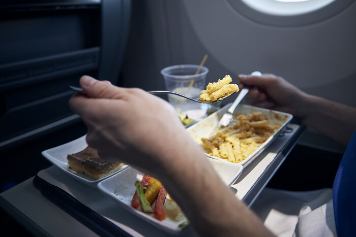 Vegetarian Starts Eating Early, Seatmate Loses Their Mind