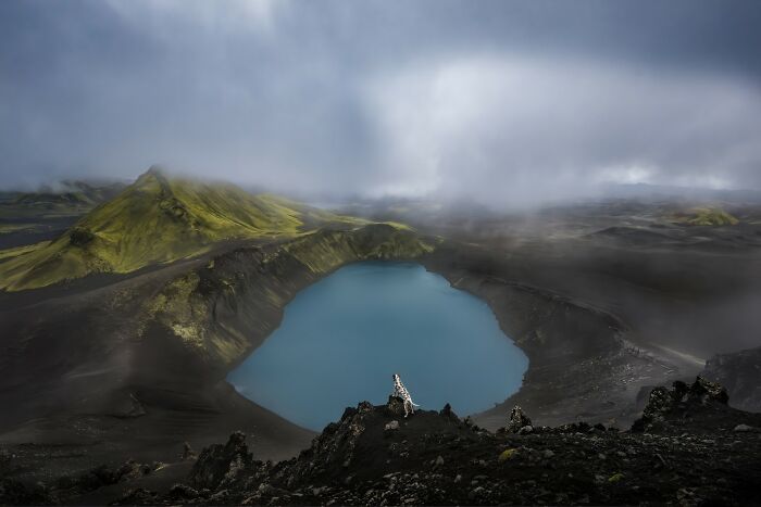 "Crater Lake" – Mellow Animal Vibes at the Water’s Edge
