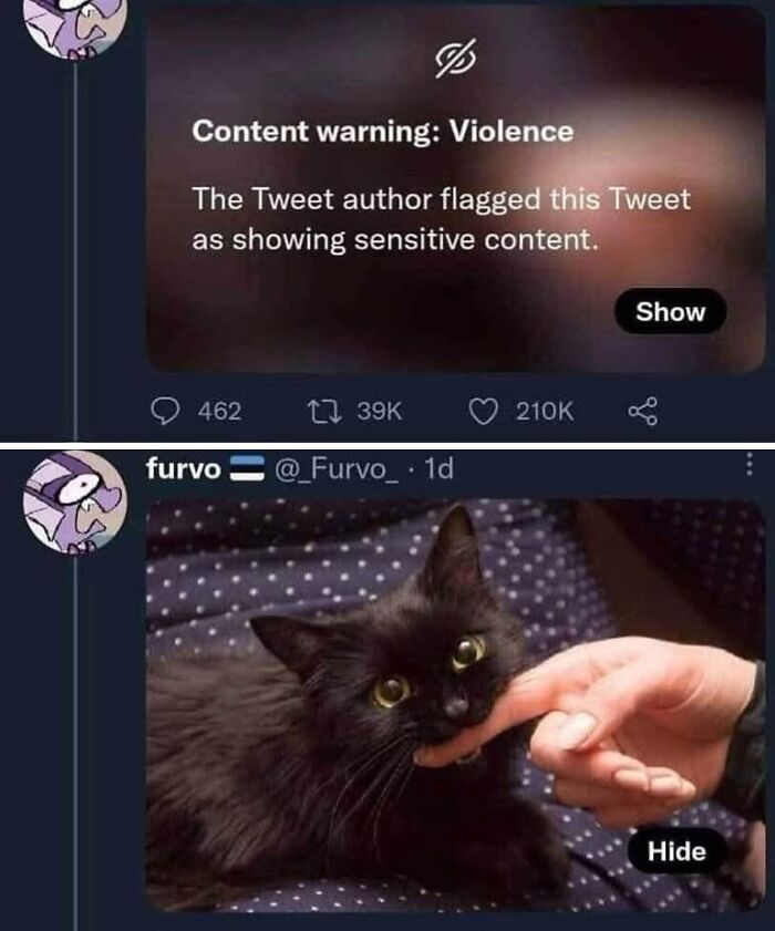 50 Cat Memes That Nail What It's Like Living With These Furry Weirdos