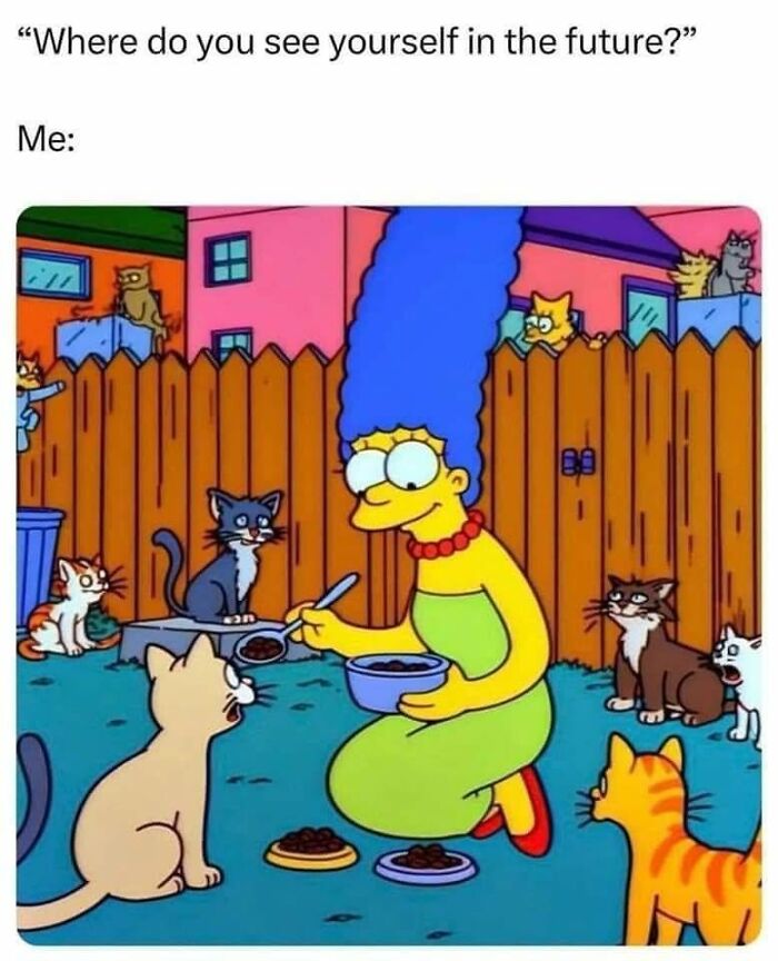 50 Cat Memes That Nail What It's Like Living With These Furry Weirdos