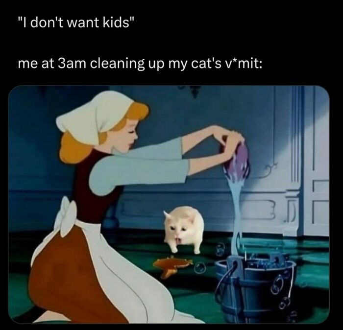 50 Cat Memes That Nail What It's Like Living With These Furry Weirdos