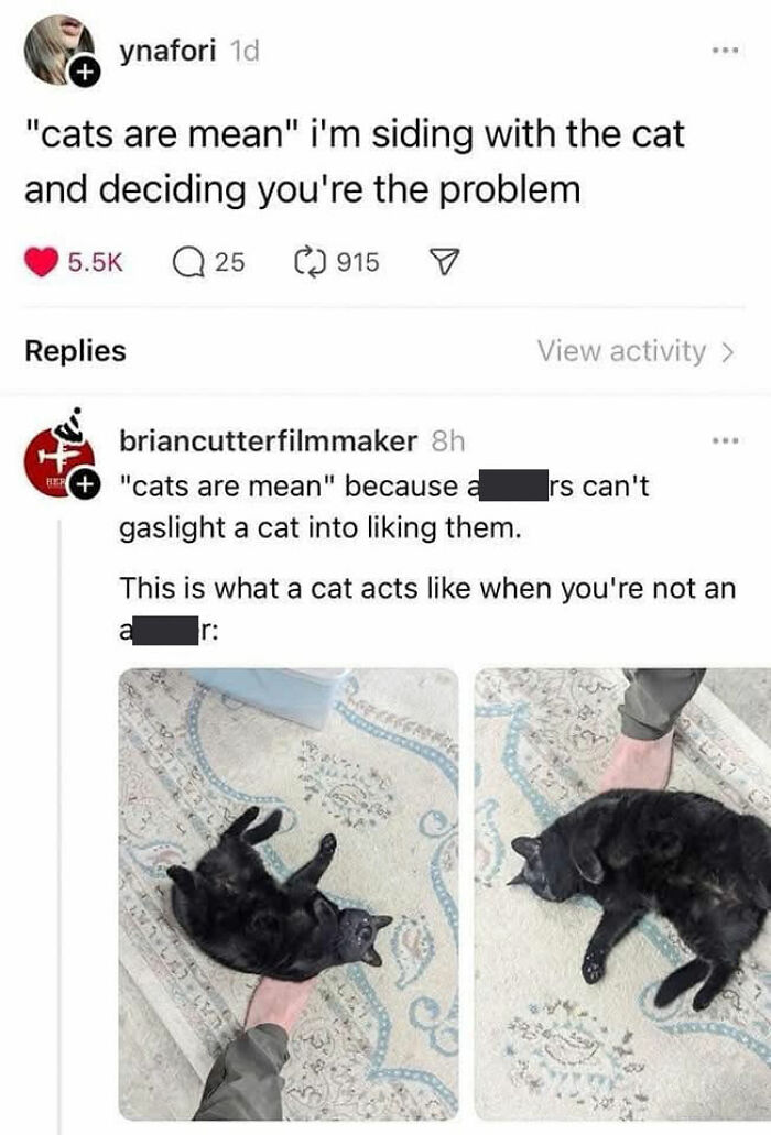 50 Cat Memes That Nail What It's Like Living With These Furry Weirdos