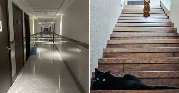 Wait, What?! 109 Photos That Totally Trick Your Brain (You’ll Have To Look Twice)