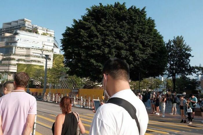 Wait, What?! 109 Photos That Totally Trick Your Brain (You’ll Have To Look Twice)