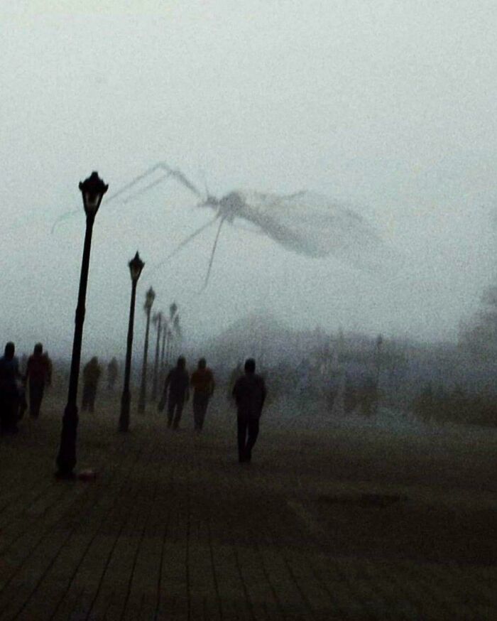 Wait, What?! 109 Photos That Totally Trick Your Brain (You’ll Have To Look Twice)