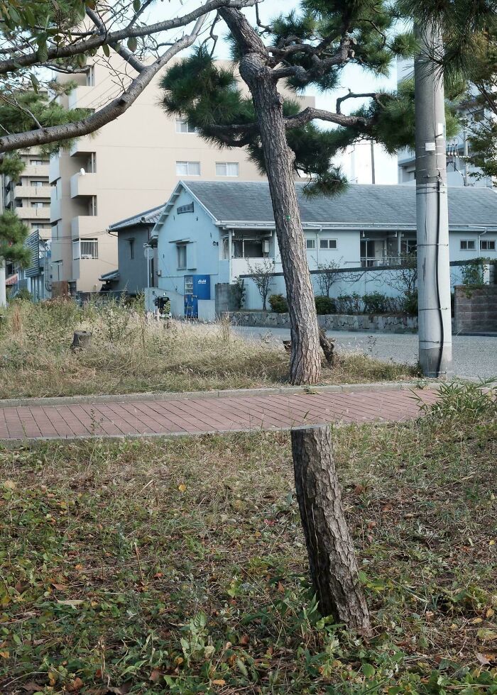 Wait, What?! 109 Photos That Totally Trick Your Brain (You’ll Have To Look Twice)