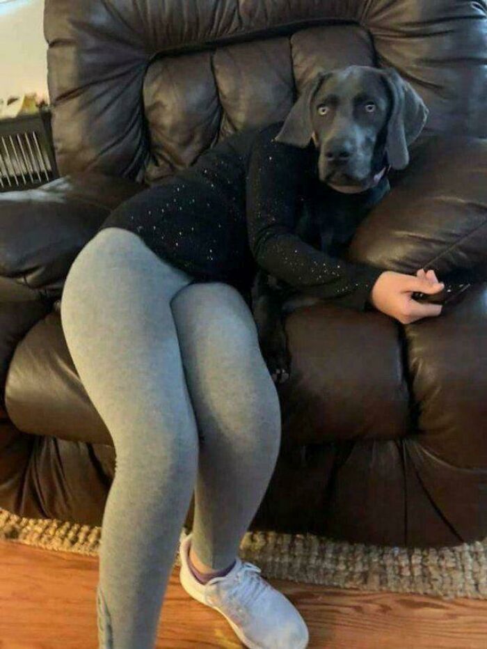Wait, What?! 109 Photos That Totally Trick Your Brain (You’ll Have To Look Twice)