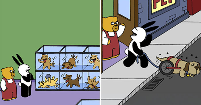 Meet the Grumpy Dog in a Wheelchair Who Stole the Show in These Comics!
