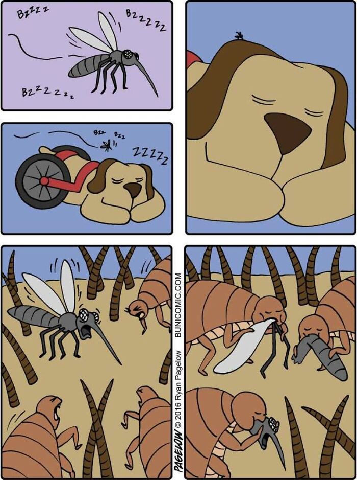Meet the Grumpy Dog in a Wheelchair Who Stole the Show in These Comics!