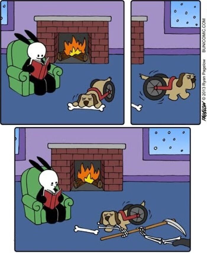 Meet the Grumpy Dog in a Wheelchair Who Stole the Show in These Comics!