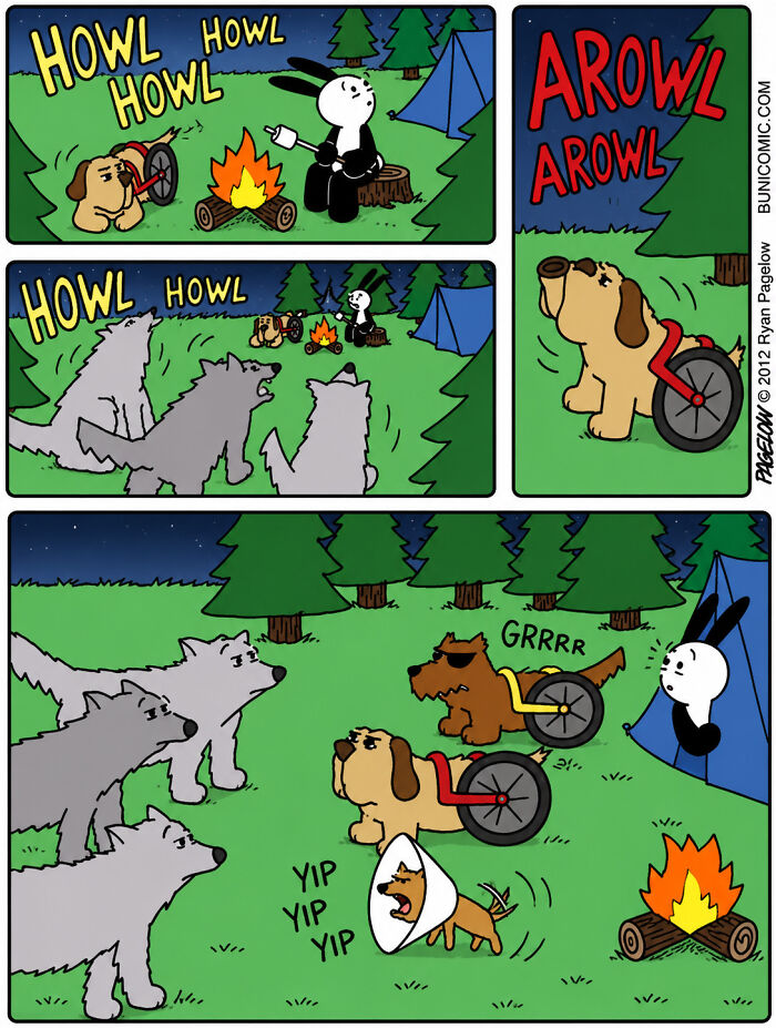 Meet the Grumpy Dog in a Wheelchair Who Stole the Show in These Comics!