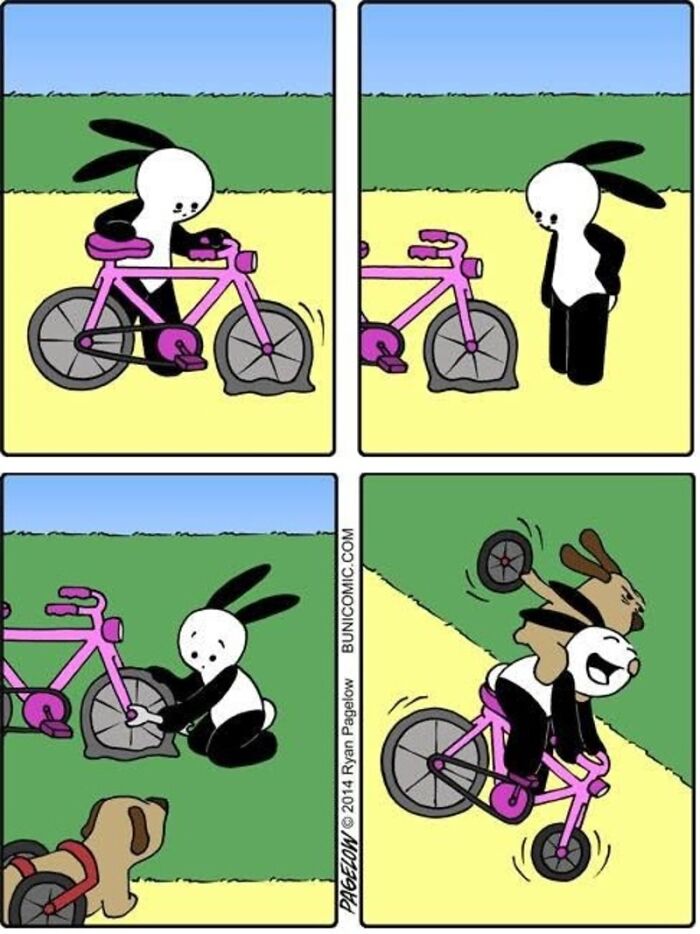 Meet the Grumpy Dog in a Wheelchair Who Stole the Show in These Comics!