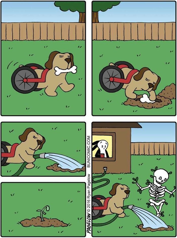 Meet the Grumpy Dog in a Wheelchair Who Stole the Show in These Comics!