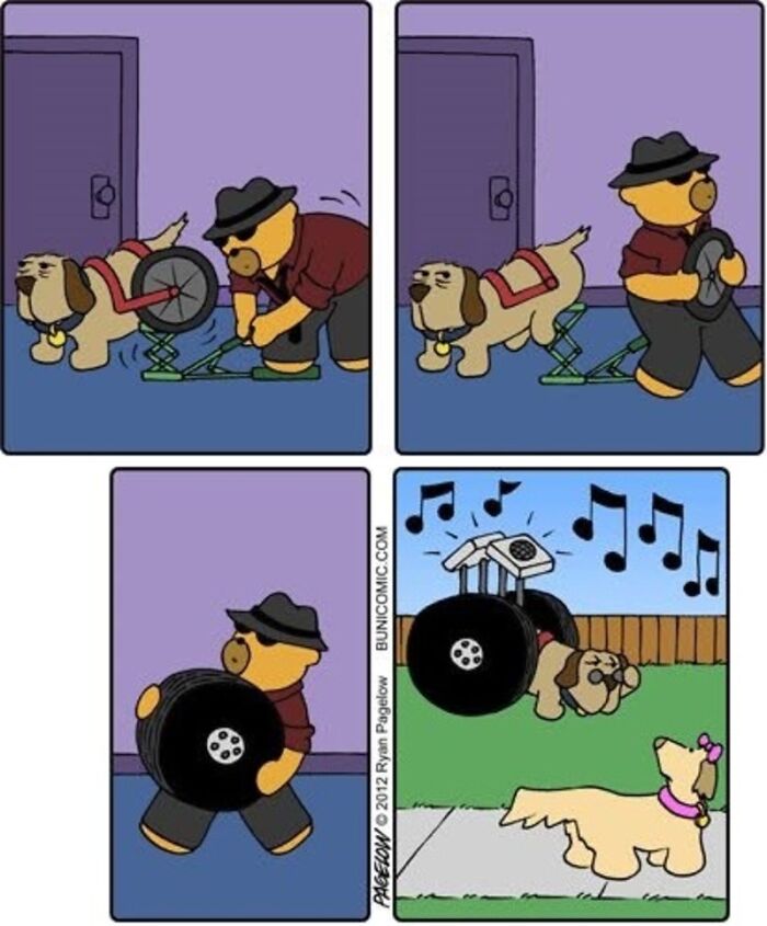 Meet the Grumpy Dog in a Wheelchair Who Stole the Show in These Comics!