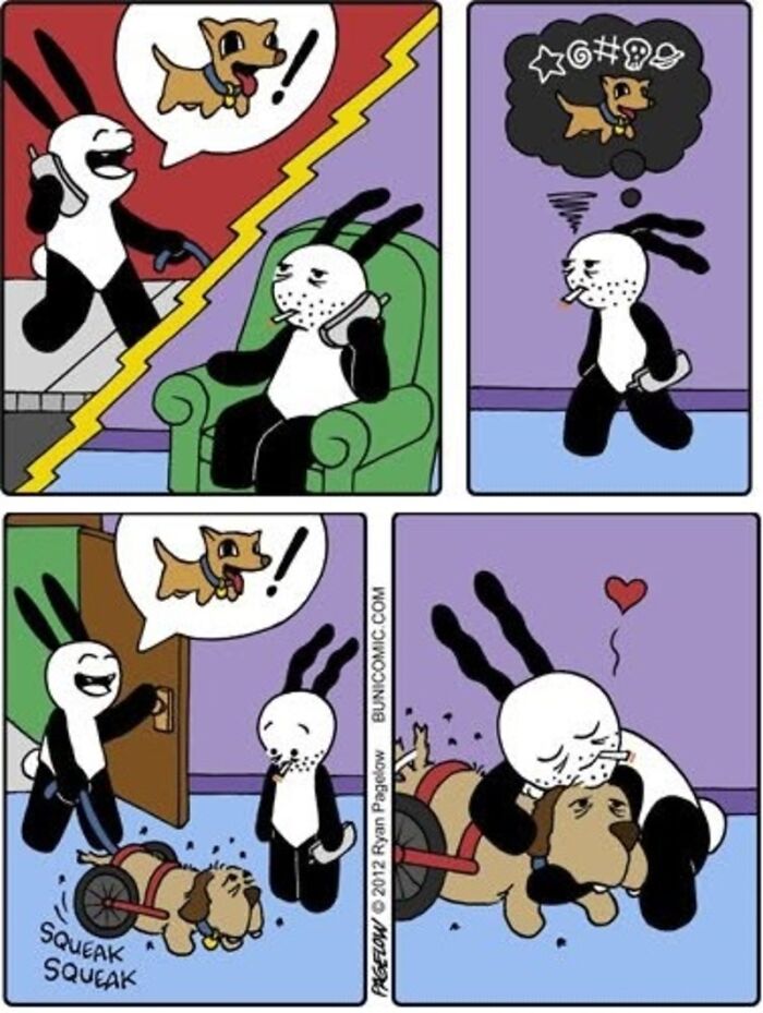 Meet the Grumpy Dog in a Wheelchair Who Stole the Show in These Comics!