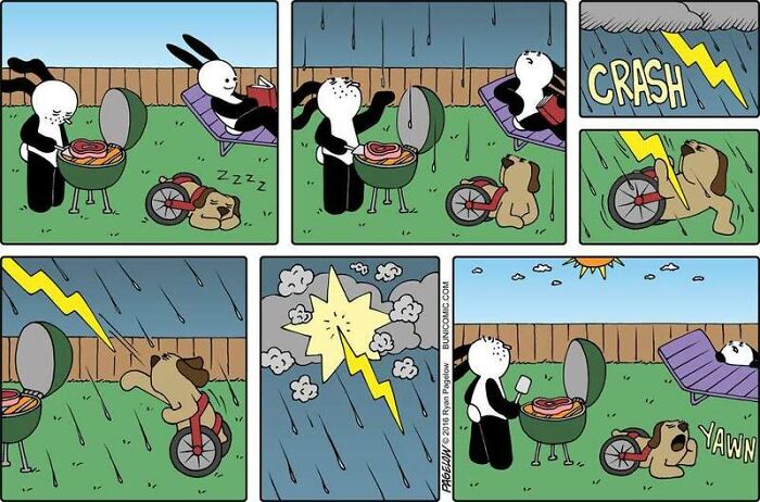 Meet the Grumpy Dog in a Wheelchair Who Stole the Show in These Comics!