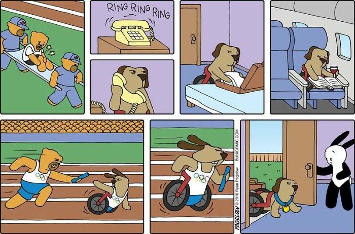 Meet the Grumpy Dog in a Wheelchair Who Stole the Show in These Comics!