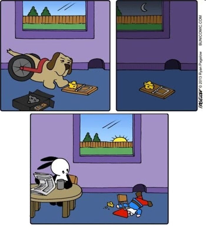 Meet the Grumpy Dog in a Wheelchair Who Stole the Show in These Comics!