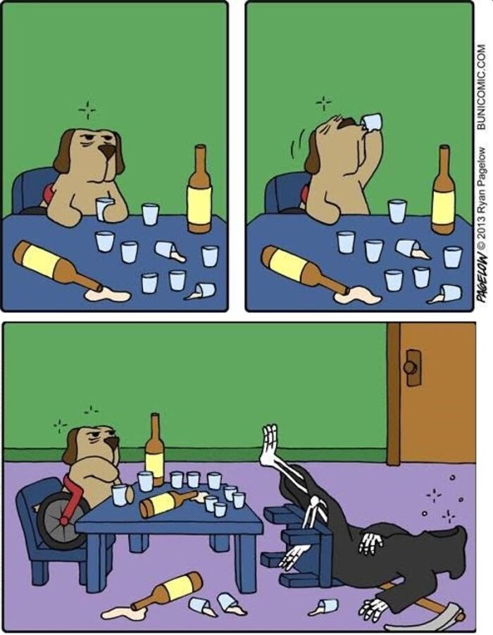 Meet the Grumpy Dog in a Wheelchair Who Stole the Show in These Comics!