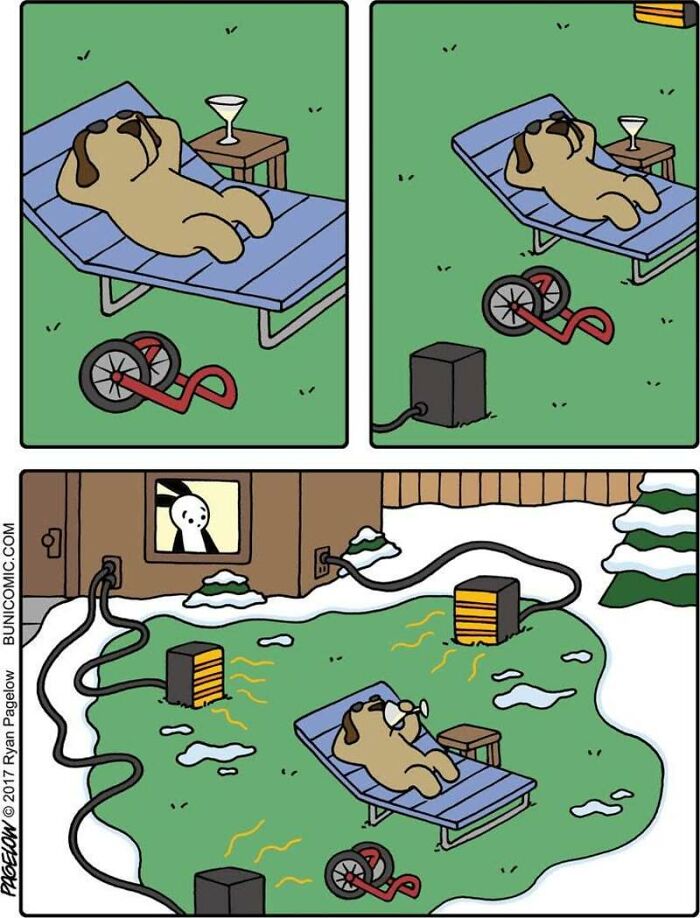 Meet the Grumpy Dog in a Wheelchair Who Stole the Show in These Comics!