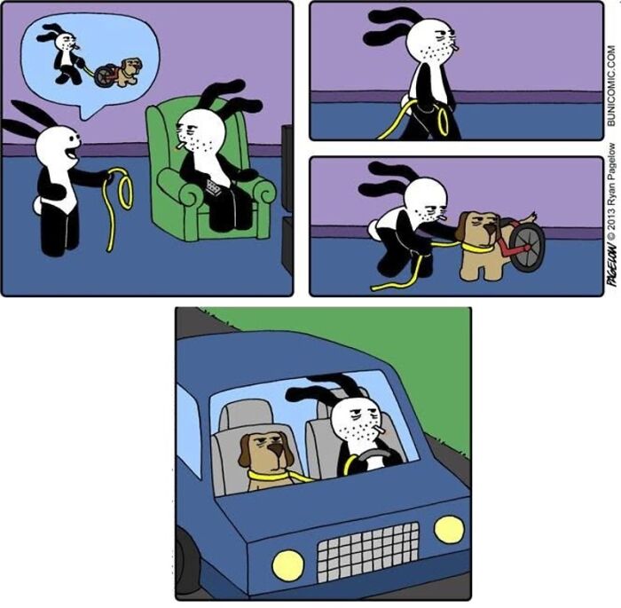 Meet the Grumpy Dog in a Wheelchair Who Stole the Show in These Comics!