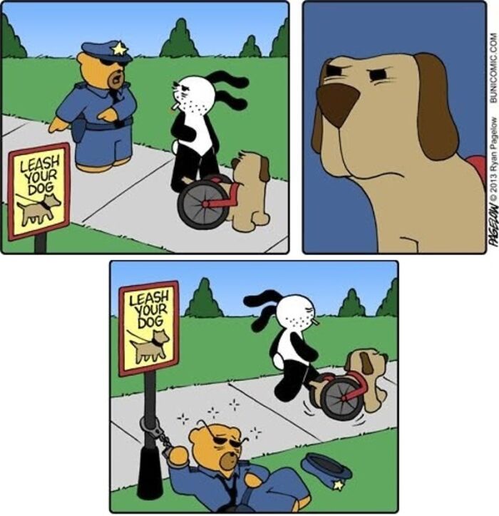 Meet the Grumpy Dog in a Wheelchair Who Stole the Show in These Comics!